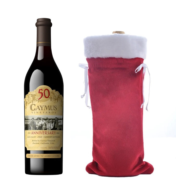 1_Velvet_Holiday_Gift_Bag_jpg_500x_98dbe7c2-c534-4bce-9ce7-ea1bea47563c_1