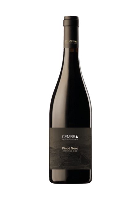 DAMAGED LABEL: Cembra Pinot Nero 2023 (750 ml)