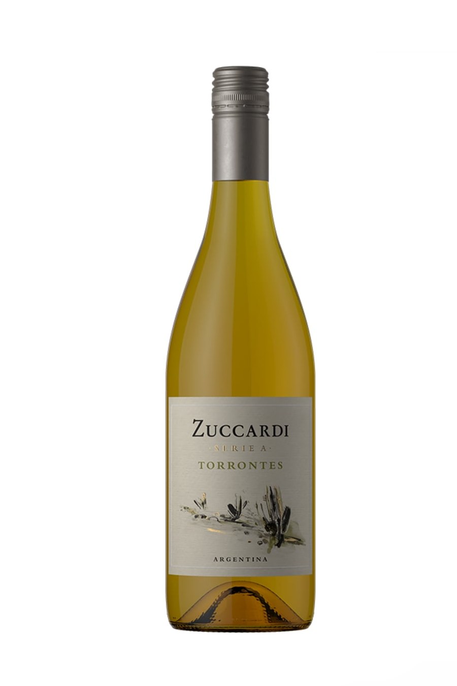 FamiliaZuccardiSerieATorrontes