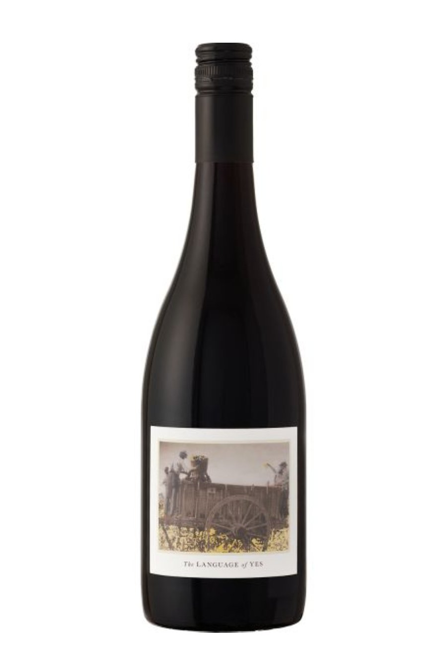 LanguageOfYesSyrahMaria2021_750ml