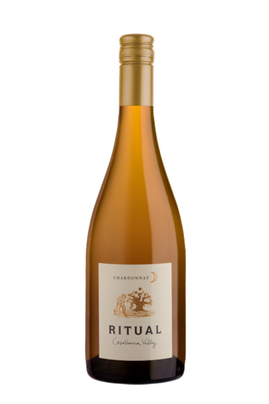 RitualChardonnay2019