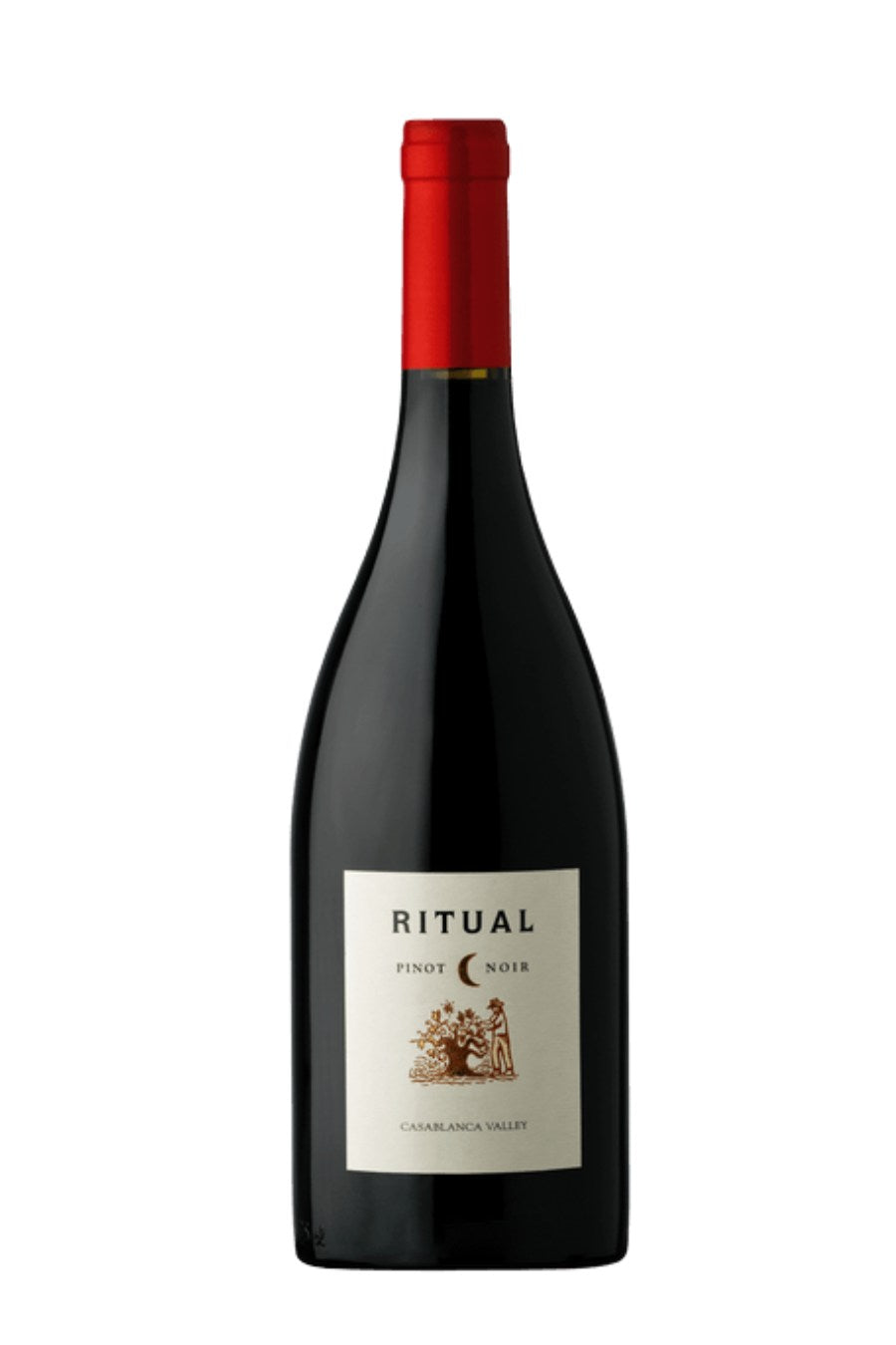 RitualPinotNoir2019
